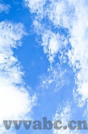大象传媒在线下载app-探索大象传媒在线下载APP，重塑娱乐与信息获取的边界