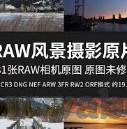 含羞草视频网站麻豆-探索自然与创意的巧妙融合，含羞草视频与麻豆艺术